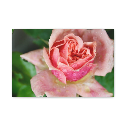 Heart Rose Close Up - Matte Canvas