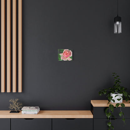 Heart Rose Close Up - Matte Canvas