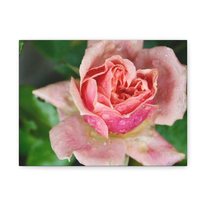 Heart Rose Close Up - Matte Canvas